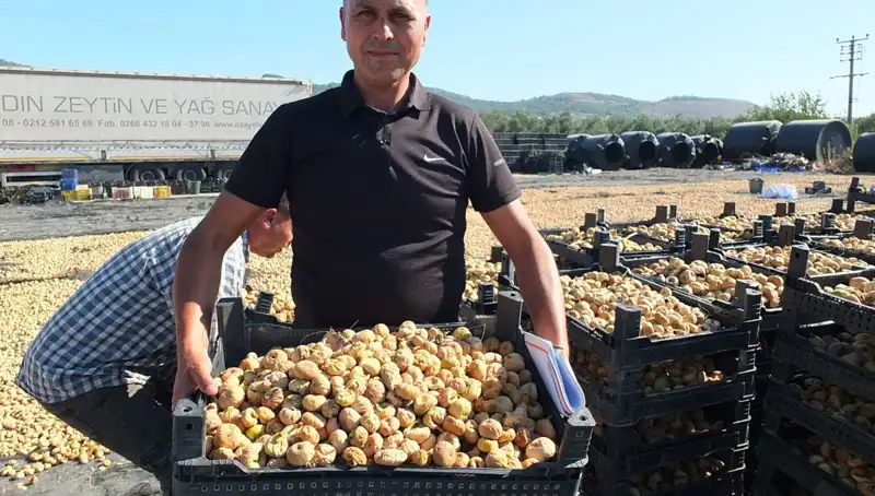 Balıkesir’de Yıldızlaşan Tarım: Çin ve Rusya’ya İhraç Başladı