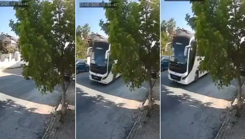 Yolda Yatan Köpeğe Çarpan Şoför, Tekrar Durdurulamadı