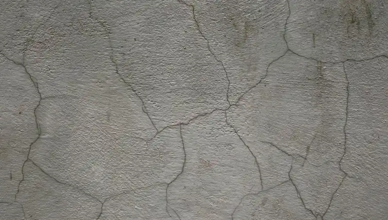 Yenilikçi Canlı Beton: Çatlakları Kendi Kendine Onaran Malzeme