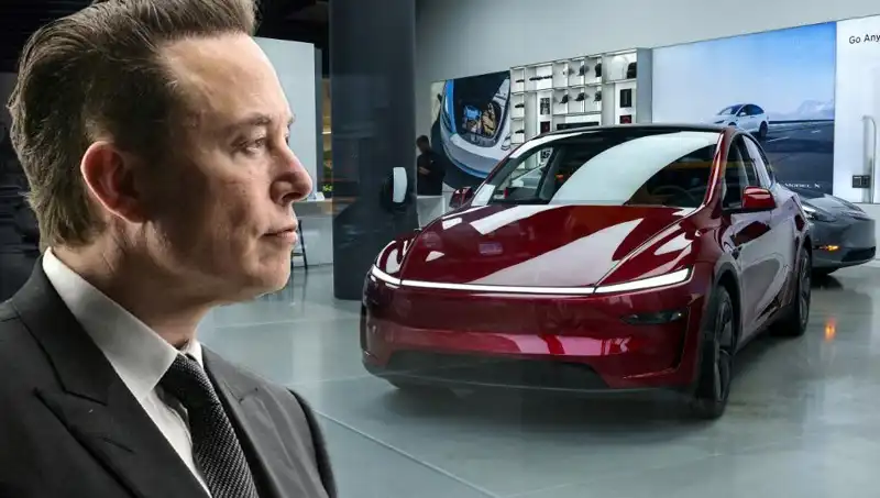 Türkiye'den Elon Musk’a Haziran’da Yüzde Kaç Kazanç Yine Elde Etti?