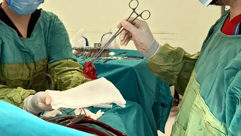 Kalp Kapağı Çürümüş Hastanın Mucizevi Ameliyatı: 7 Saatlik Zorlu Süreç
