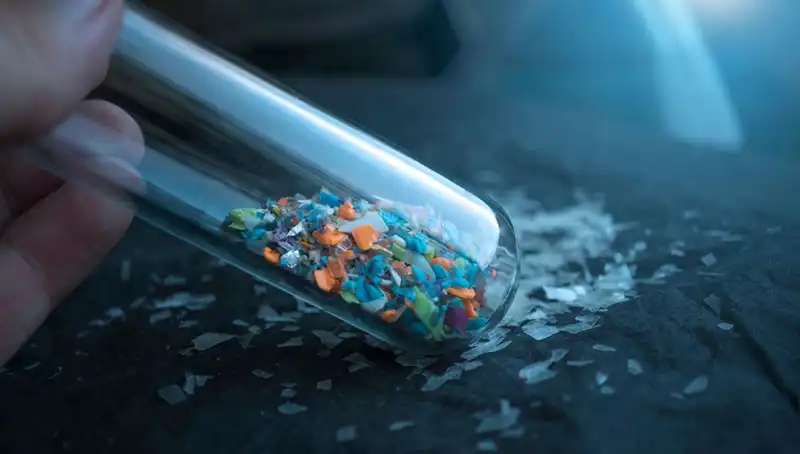Mikroplastikler Beynimizde: İnsan Sağlığı Üzerindeki Gizli Tehdit
