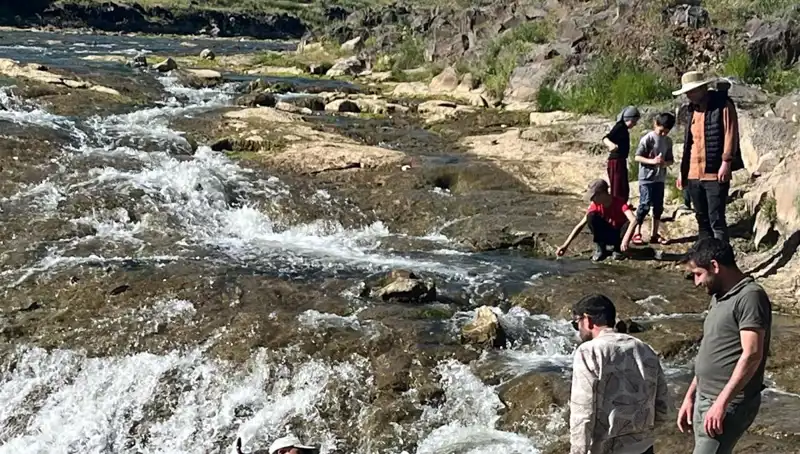 İnci Kefali Göçü: Doğanın Mucizesi Turistleri Büyülüyor