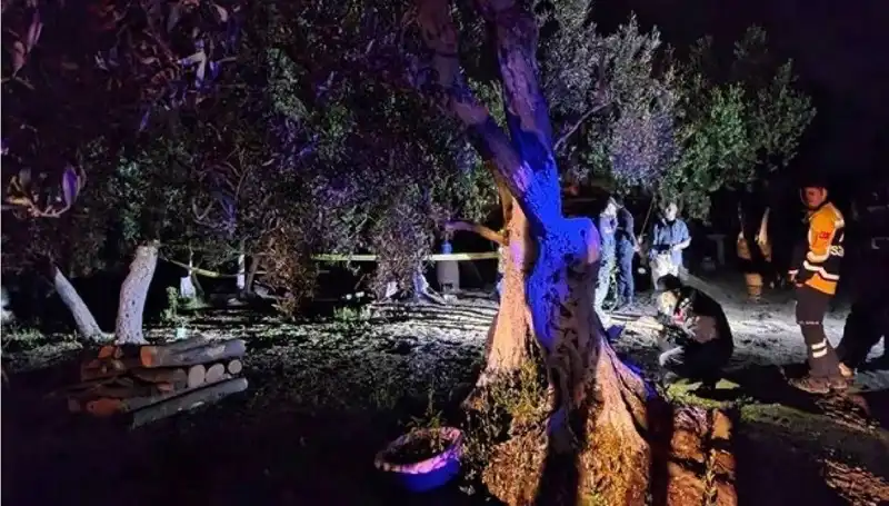 Çiftlikteki Baltalı Vahşet Olayında Şoke Eden Gelişme: Bir Kişi Tutuklandı