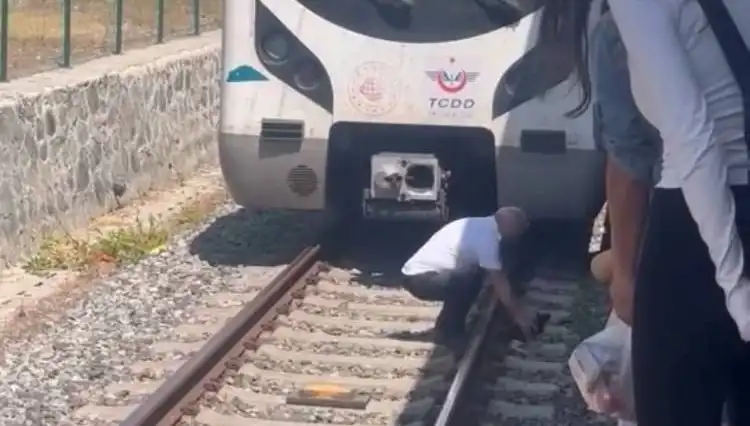 Marmaray Makinisti, Raylardaki Kediyi Fark Edince Seferi Durdurdu!