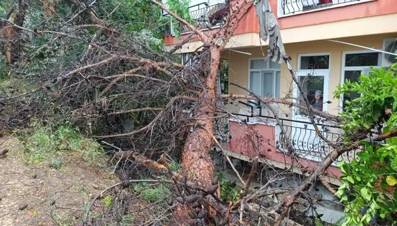 Aniden Yağmur: Binanın Üzerine Devrilen Ağır Yapı Felaketi