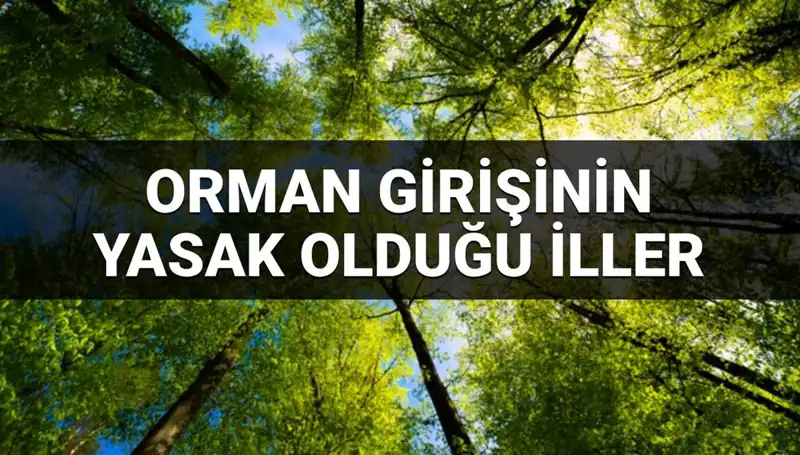 2025'te Ormana Girmek Yasaklanan İller: Hangi Bölgeler Etkilendi?