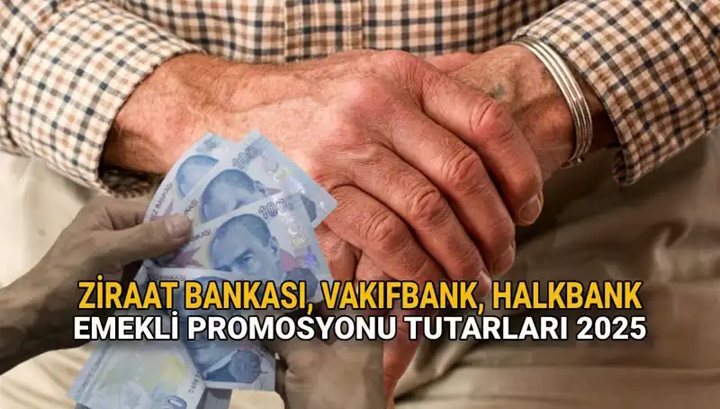 2025’te Kamu Bankalarında Emekli Promosyonları Ne Kadar Olacak?