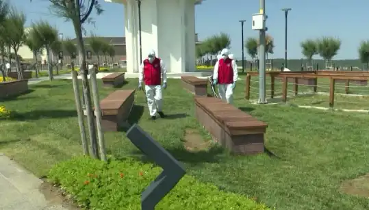 Kene Tehditi Artıyor: Halka Açık Alanlarda İlaçlama Önlemleri Alınıyor