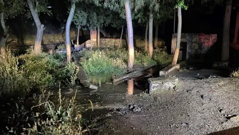 Manisa'da Parkta Şüpheli Ölüm: Olayın Gizemi Çözülmeyi Bekliyor