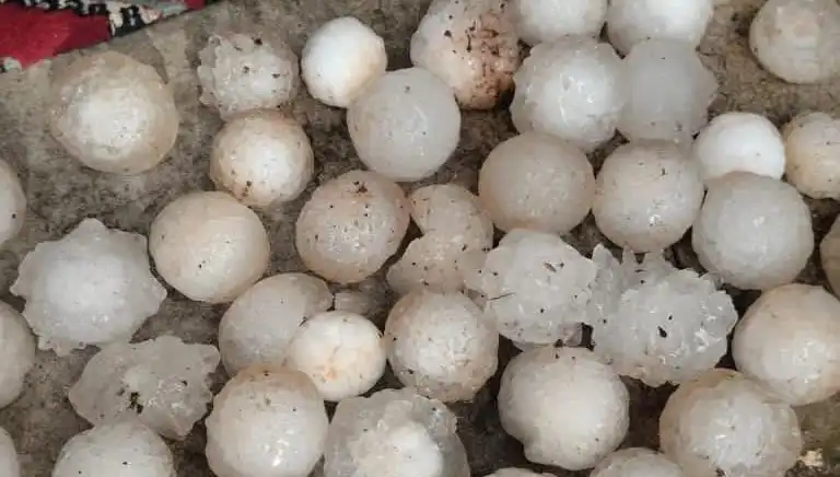 Şanlıurfa'da Kar Topu Büyüklüğünde Dolu Yağışı Hayat Durma Noktasına Getirdi