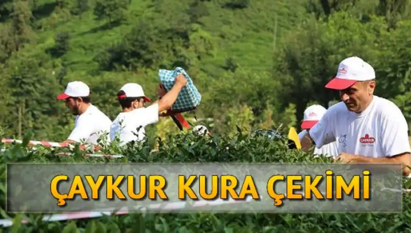Çaykur Canlı Kura Sayfası: İsim Listesi İle Kazananları Öğrenmenin Yolu