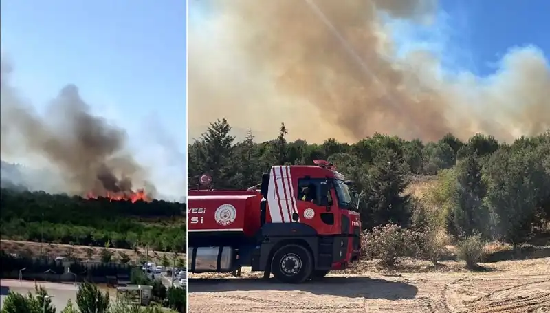 Gebze'de Kontrol Altına Alınamayan Orman Yangını Büyük Korkuya Neden Oldu