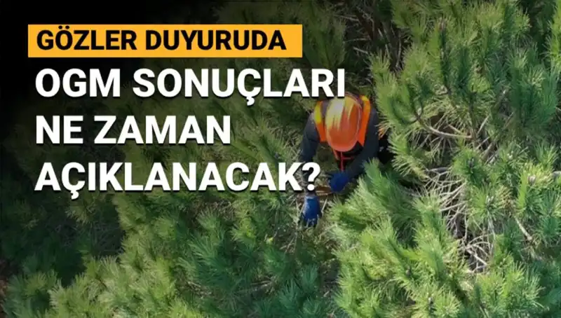 OGM Personel Alımı Duyurusu: 3 Bin 477 Sözleşmeli Kadro Başvuru Sonuçları Açıklanıyor