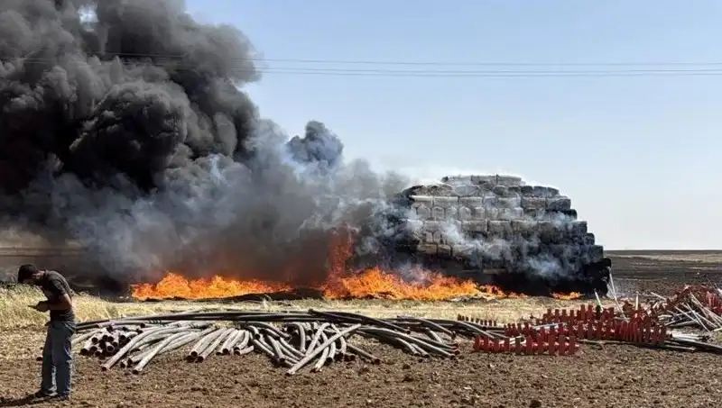 Mardin'de Korkutan Anız Yangını: Çiftçiler ve Doğa Tehdit Altında