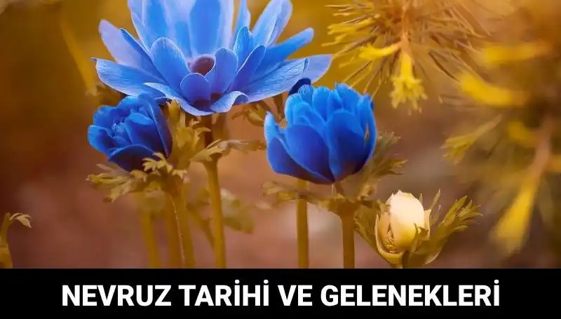Nevruz Bayramı: Gelenekler, Kutlamalar ve Anlamı